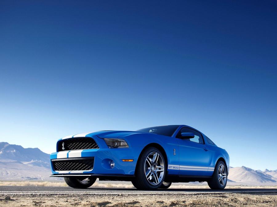  Shelby GT500 2009 года  (фото 16 из 21)
